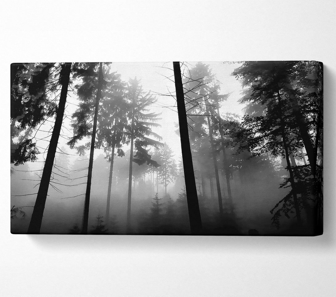  A Canvas Print of Mist Of The Woodland B n W Canvas Wall Art