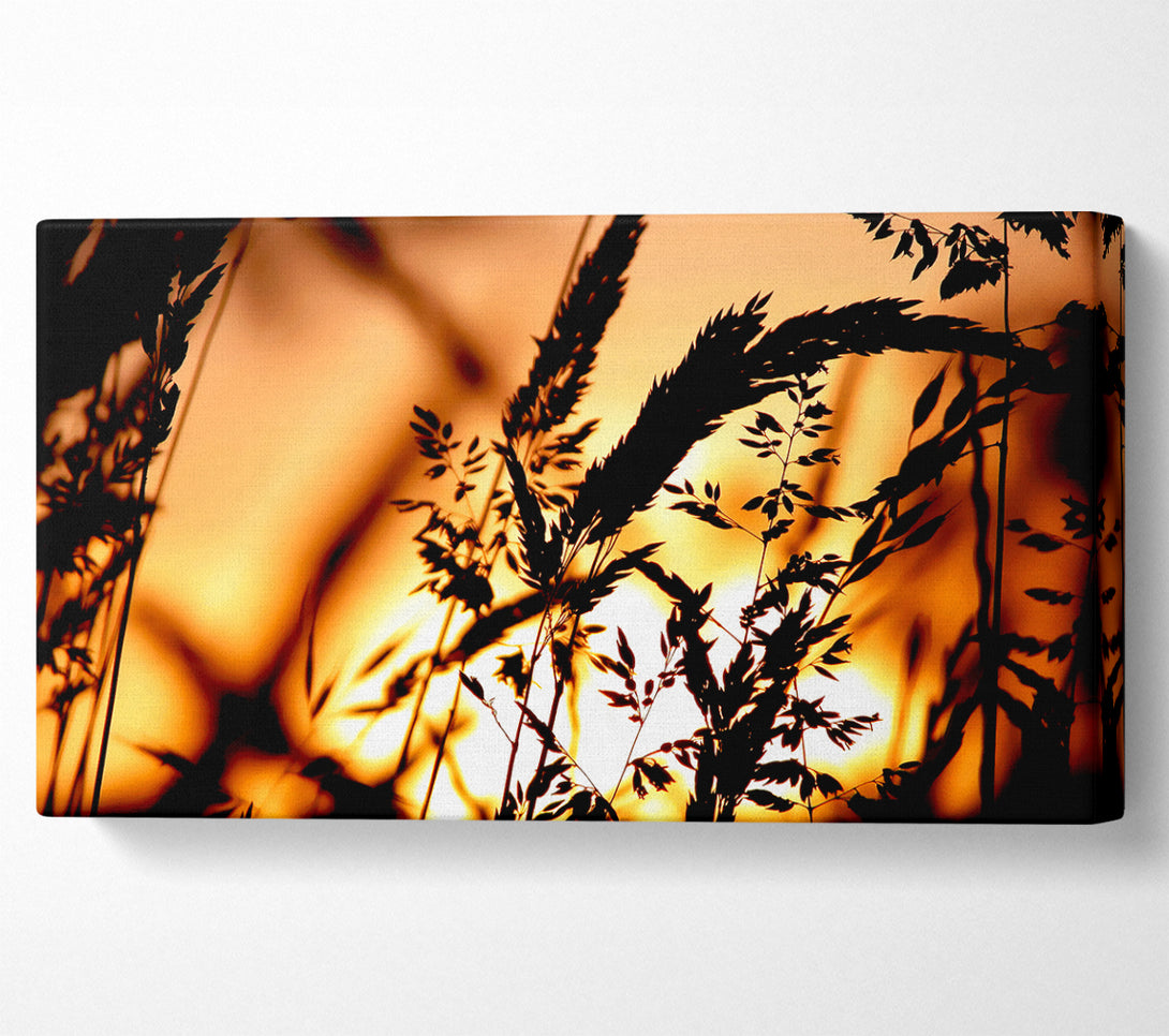  A Canvas Print of Reed Sunset Canvas Art