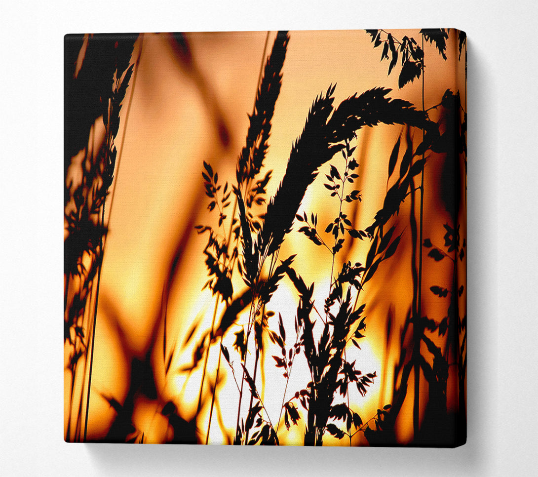  A Canvas Print of Reed Sunset Canvas Art