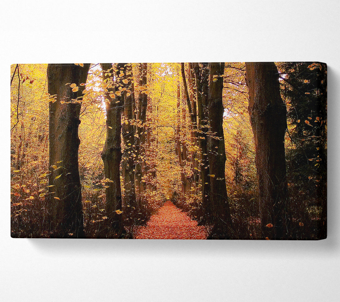  A Canvas Print of Woodland Walkway Canvas Wall Art