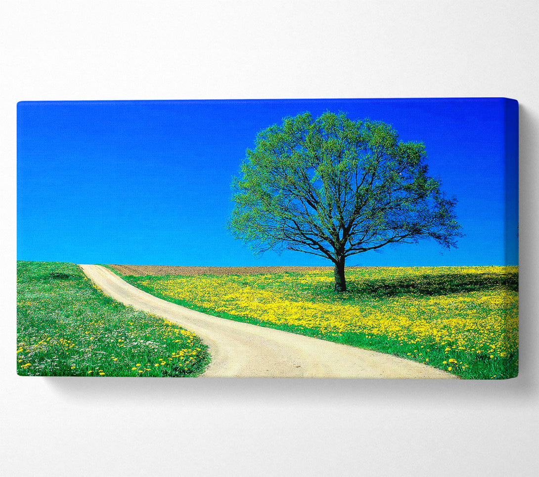  A Canvas Print of The Lonely Tree Road Canvas Art