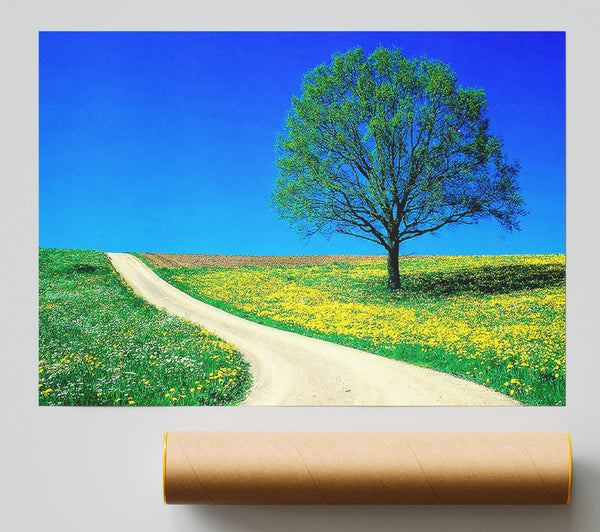The Lonely Tree Road Print
