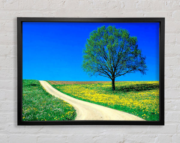 The Lonely Tree Road Framed Print