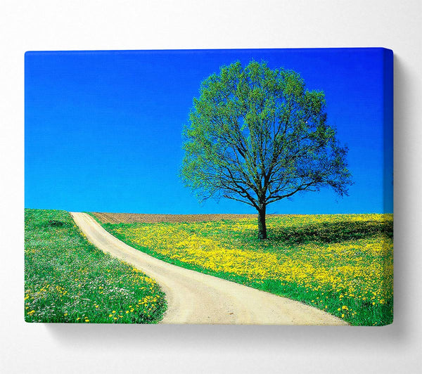  A Canvas Print of The Lonely Tree Road Canvas Art