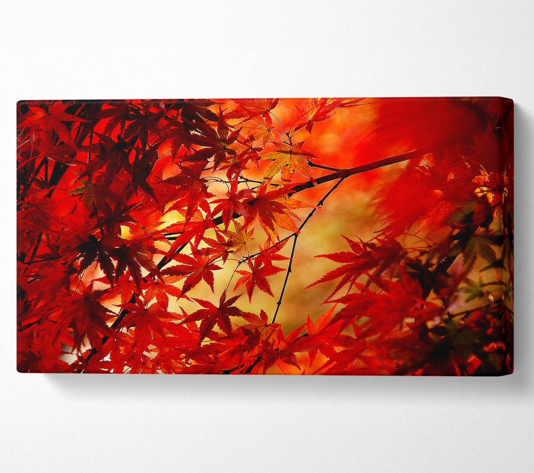  A Canvas Print of Red Leaves In Winter Canvas Art