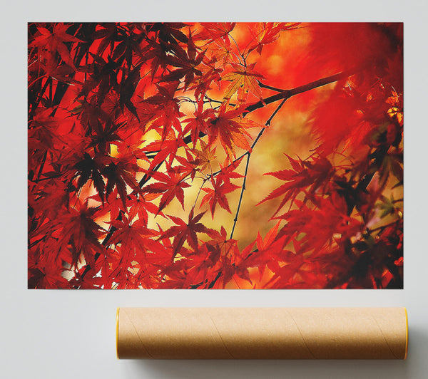 Red Leaves In Winter Print
