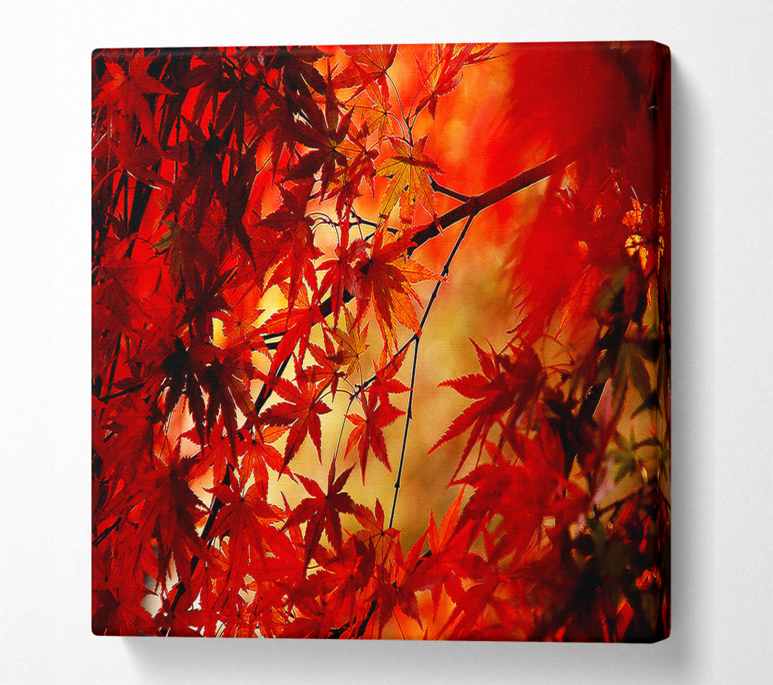  A Canvas Print of Red Leaves In Winter Canvas Art