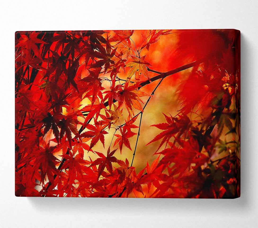  A Canvas Print of Red Leaves In Winter Canvas Art
