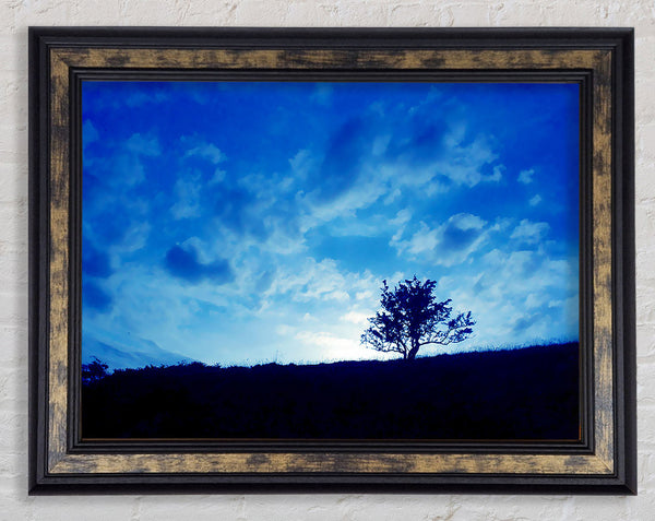Morning Tree Framed Print