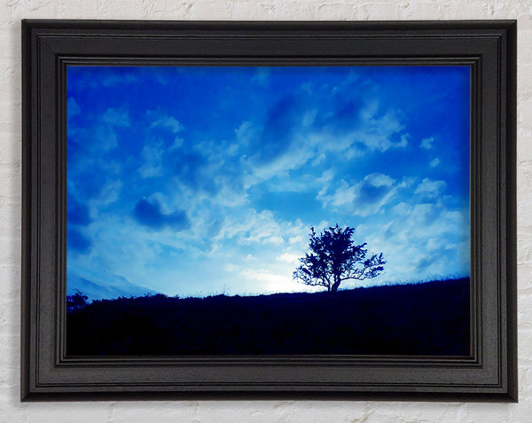 Morning Tree Framed Print