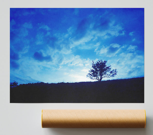 Morning Tree Poster