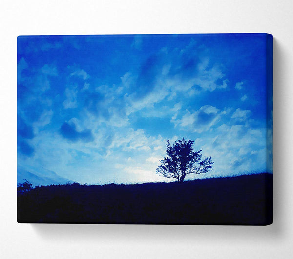  A Canvas Print of Morning Tree Canvas Art