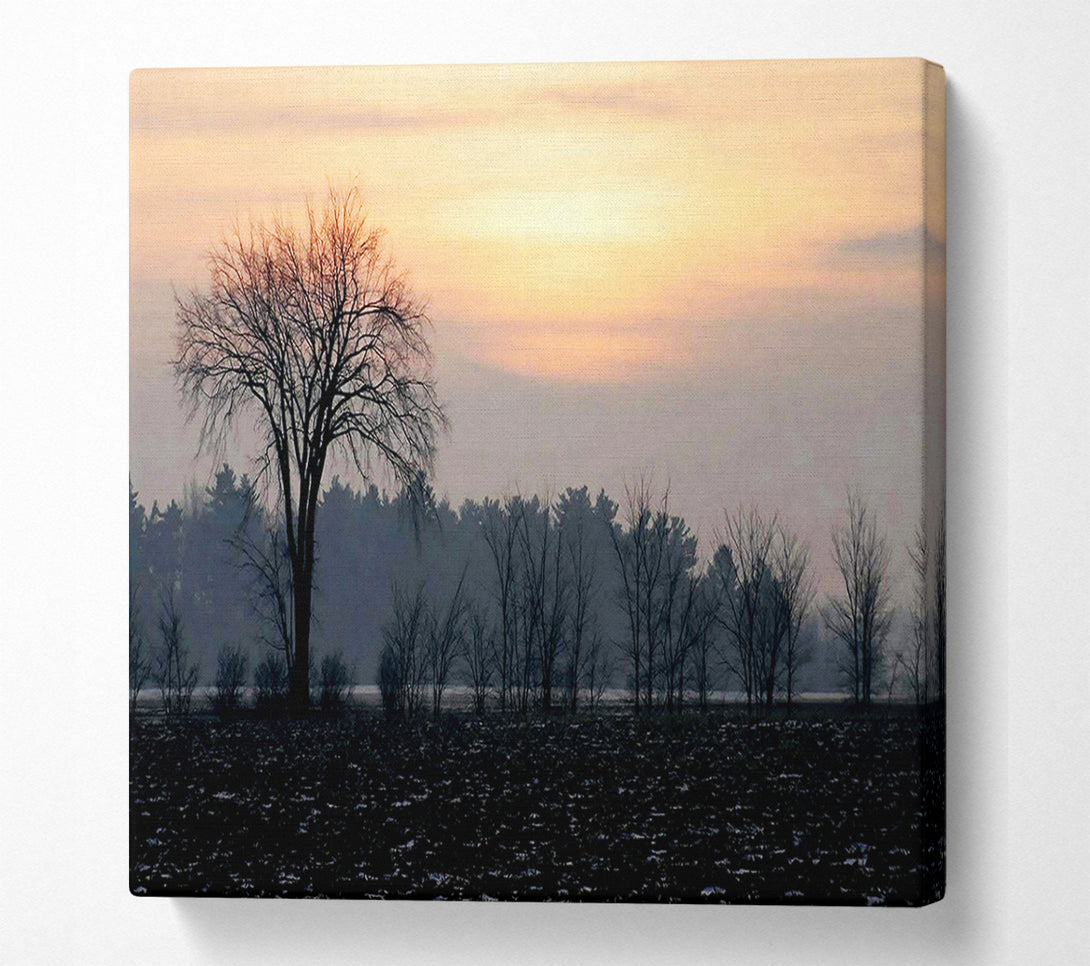 A Canvas Print of Yorkshire Dales Winter Canvas Art