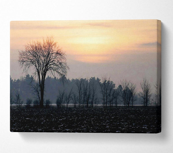  A Canvas Print of Yorkshire Dales Winter Canvas Art