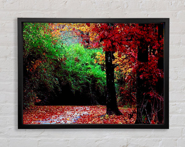 The Autumn Red Road Framed Print