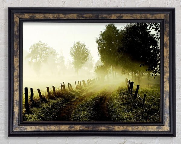 Country Lane Mist Framed Print