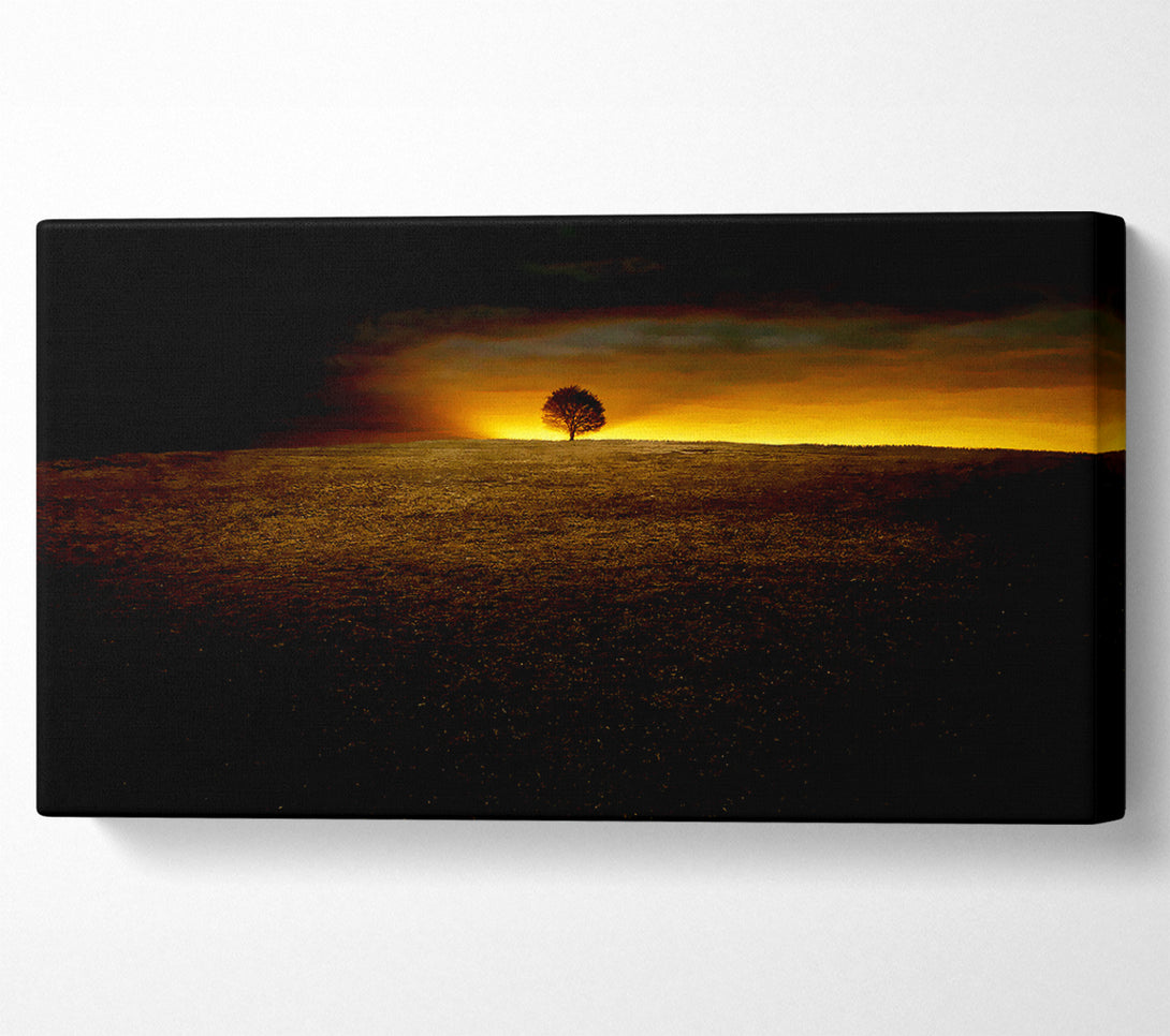  A Canvas Print of Lonely Tree At First Light Canvas Print