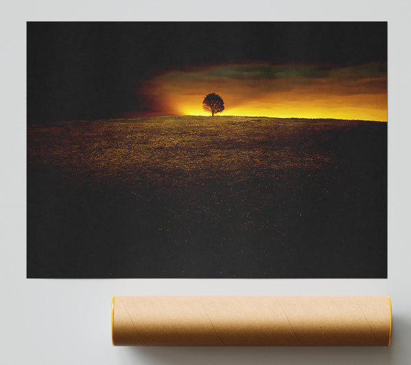 Lonely Tree At First Light Print