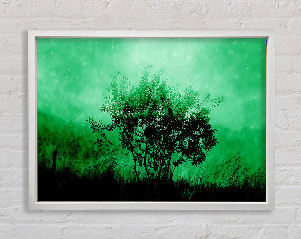 Emerald Tree