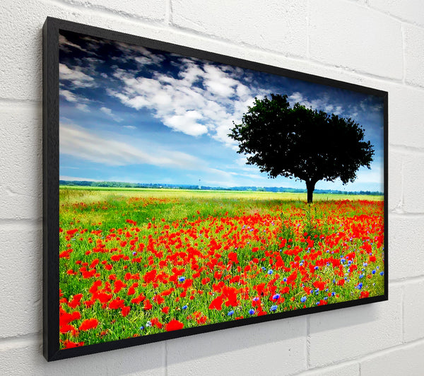 Poppy Field Tree