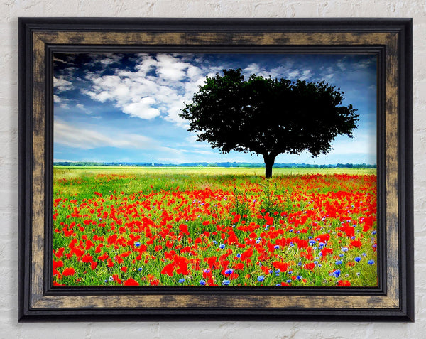 Poppy Field Tree Framed Print