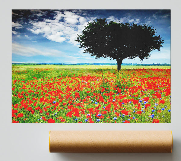 Poppy Field Tree Print