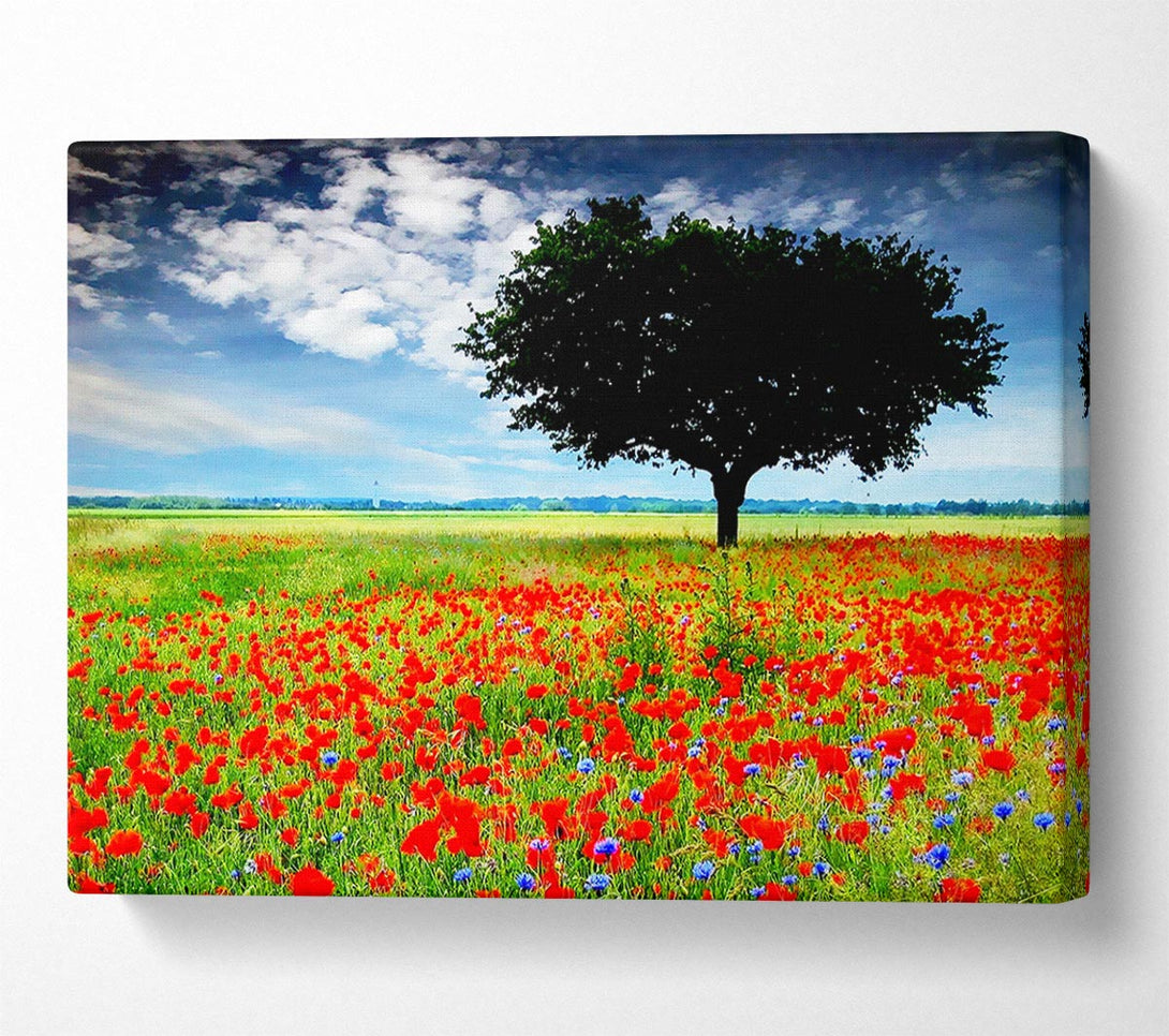  A Canvas Print of Poppy Field Tree Canvas Wall Art