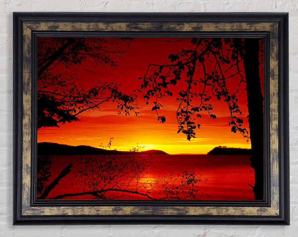 Red River Through The Trees Framed Print