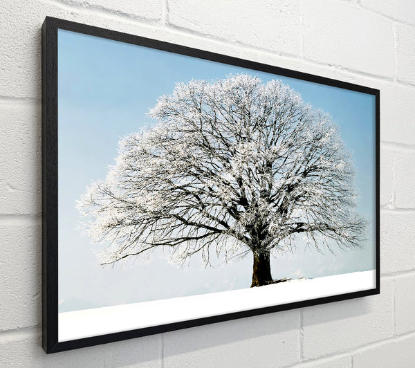 Snow Tree