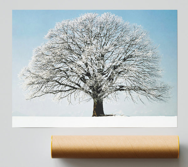 Snow Tree Print