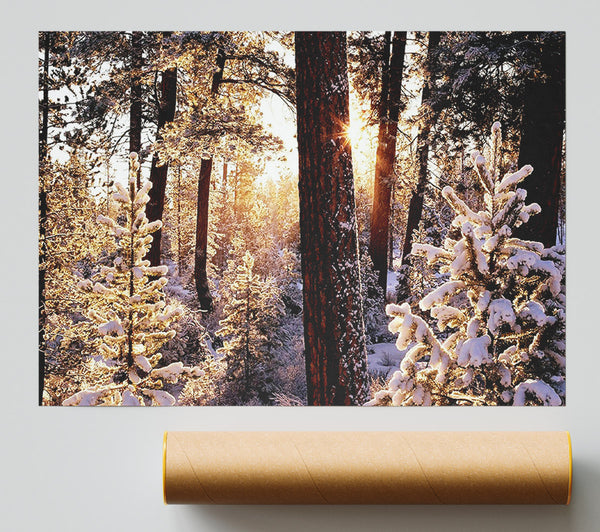 Winter Woodland Poster