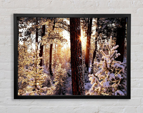 Winterwald