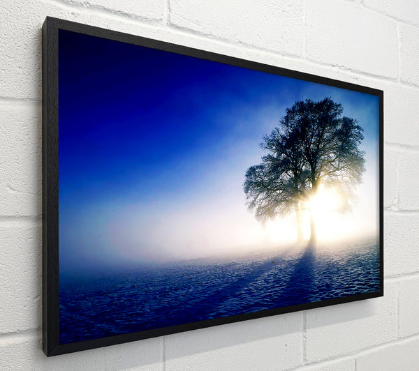 Misty Tree At Sunrise