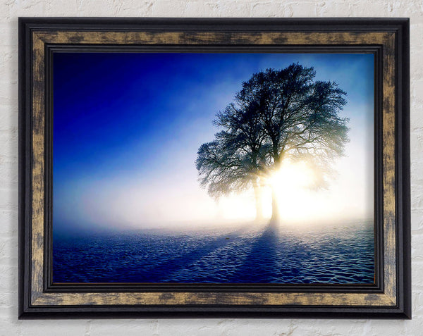 Misty Tree At Sunrise Framed Print