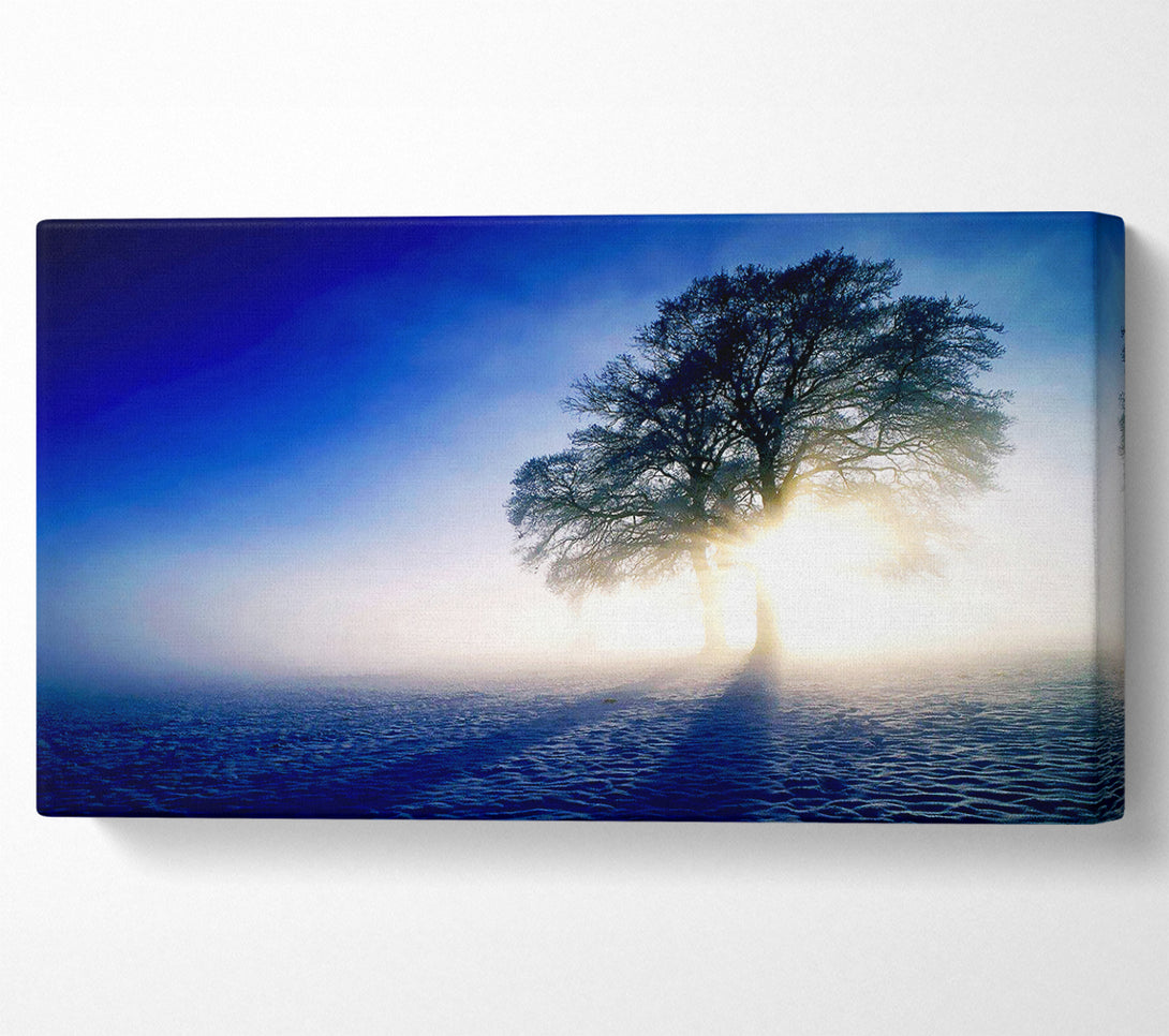  A Canvas Print of Misty Tree At Sunrise Canvas Art