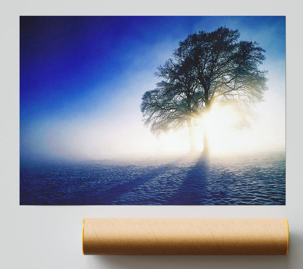 Misty Tree At Sunrise Giclee Print