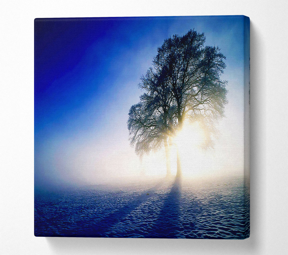  A Canvas Print of Misty Tree At Sunrise Canvas Art