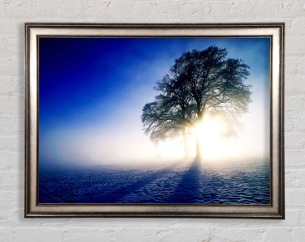 Misty Tree At Sunrise Framed Print