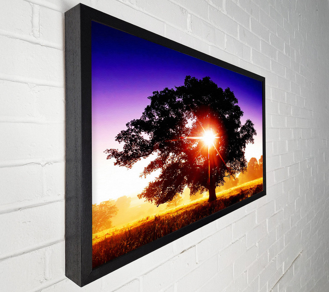  A Canvas Print of Sun Burst Through The Tree Canvas Art