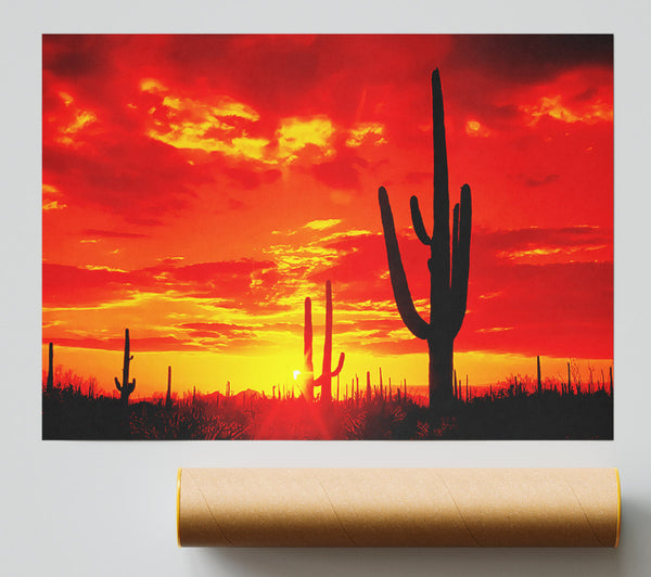 Red Desert Cactus Poster