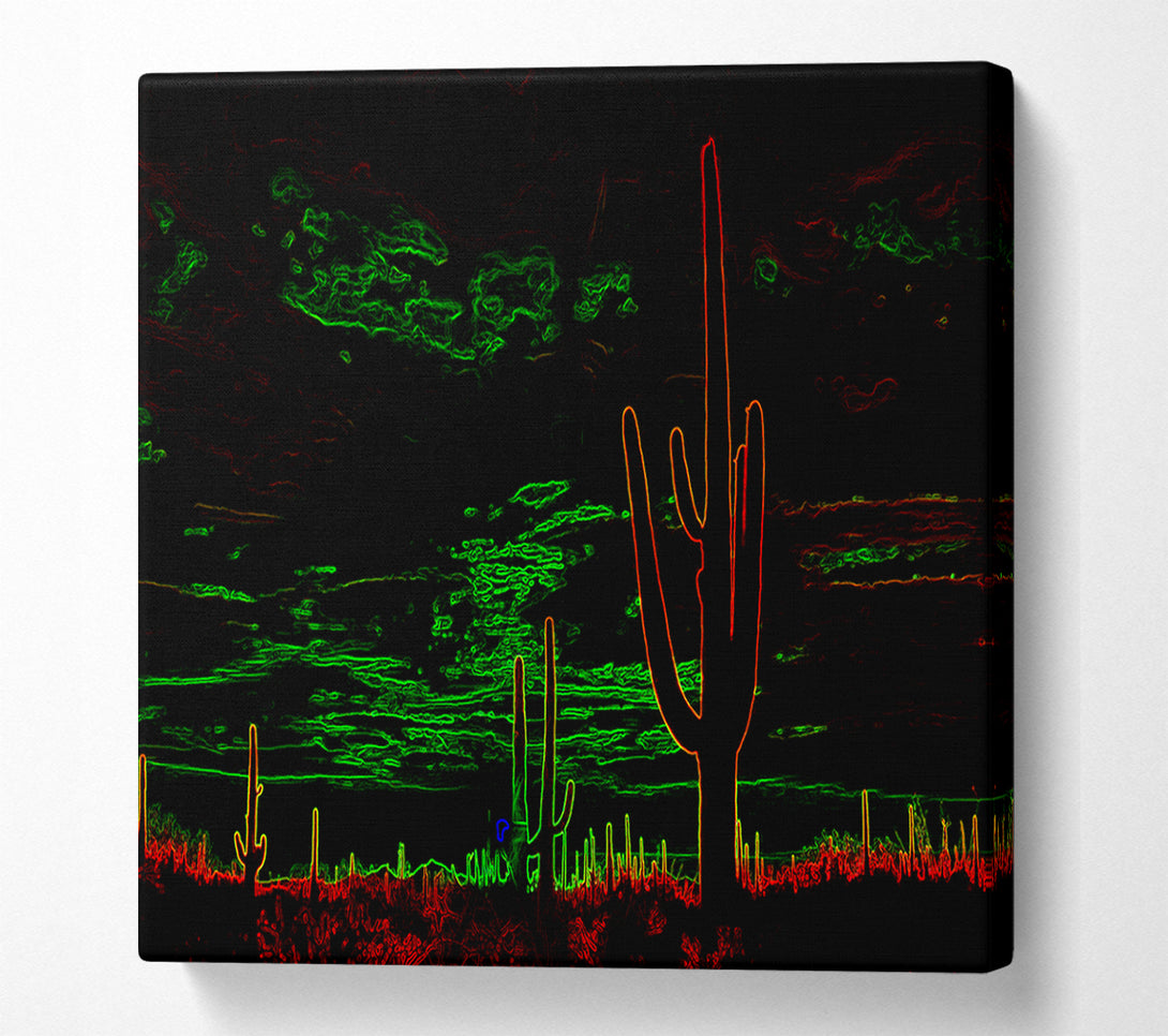  A Canvas Print of Cactus Canvas Print