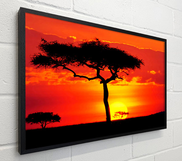 Glowing Orange African Tree