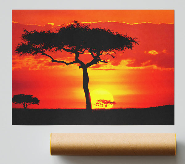 Glowing Orange African Tree Giclee Print