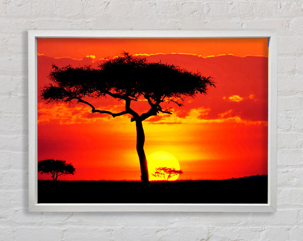 Glowing Orange African Tree