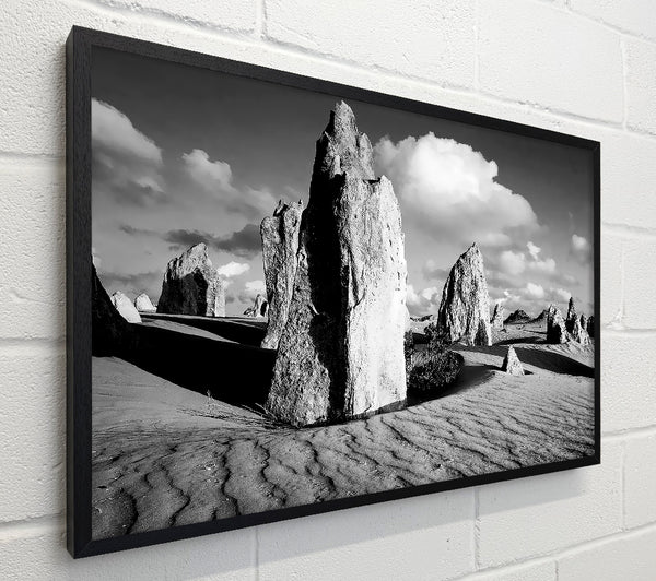 Desert Architect B n W