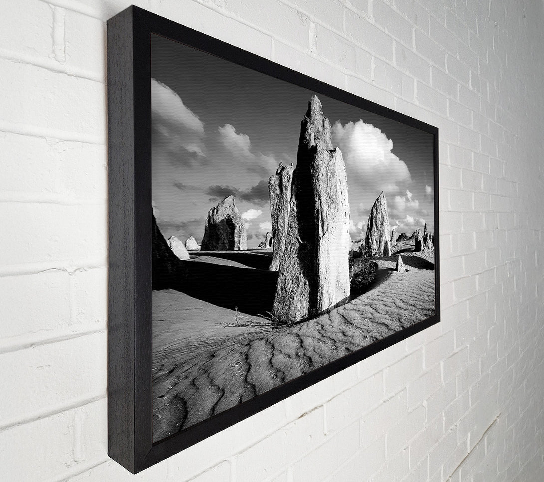  A Canvas Print of Desert Architect B n W Canvas Print