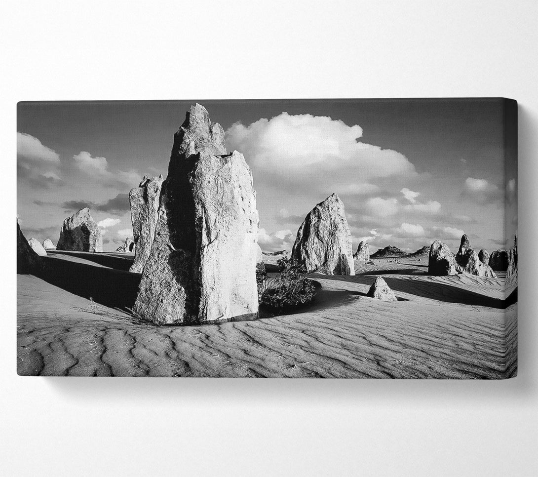  A Canvas Print of Desert Architect B n W Canvas Print