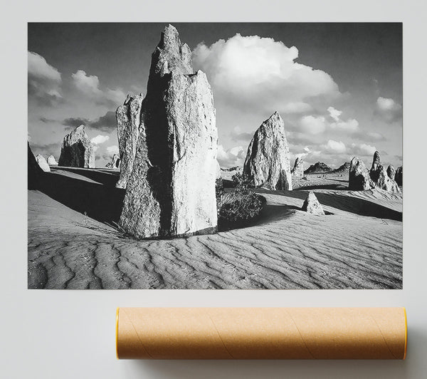 Desert Architect B N W Print