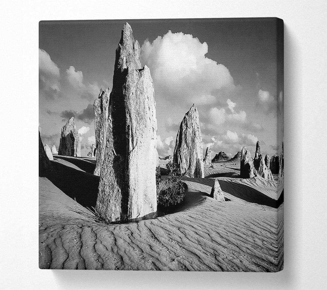  A Canvas Print of Desert Architect B n W Canvas Print