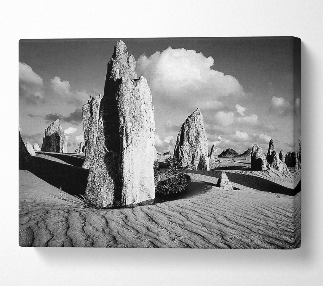  A Canvas Print of Desert Architect B n W Canvas Print